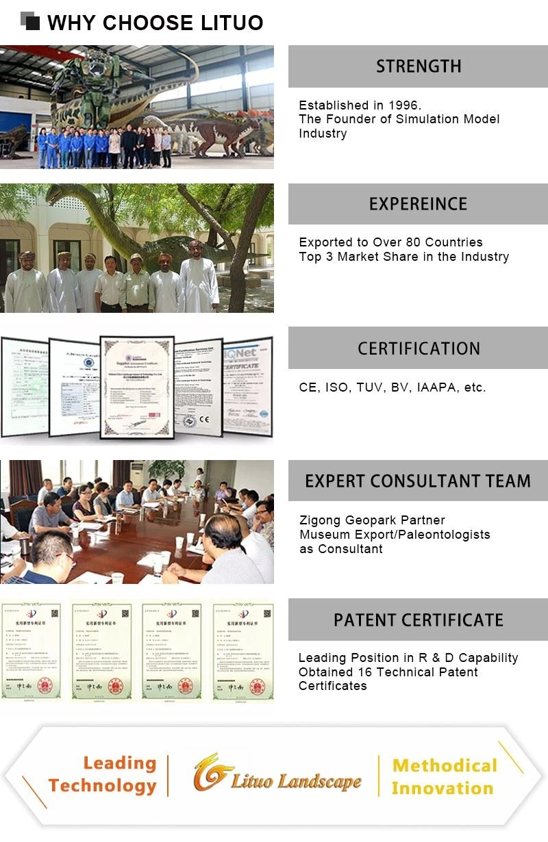 4WHY CHOOSE LITUO