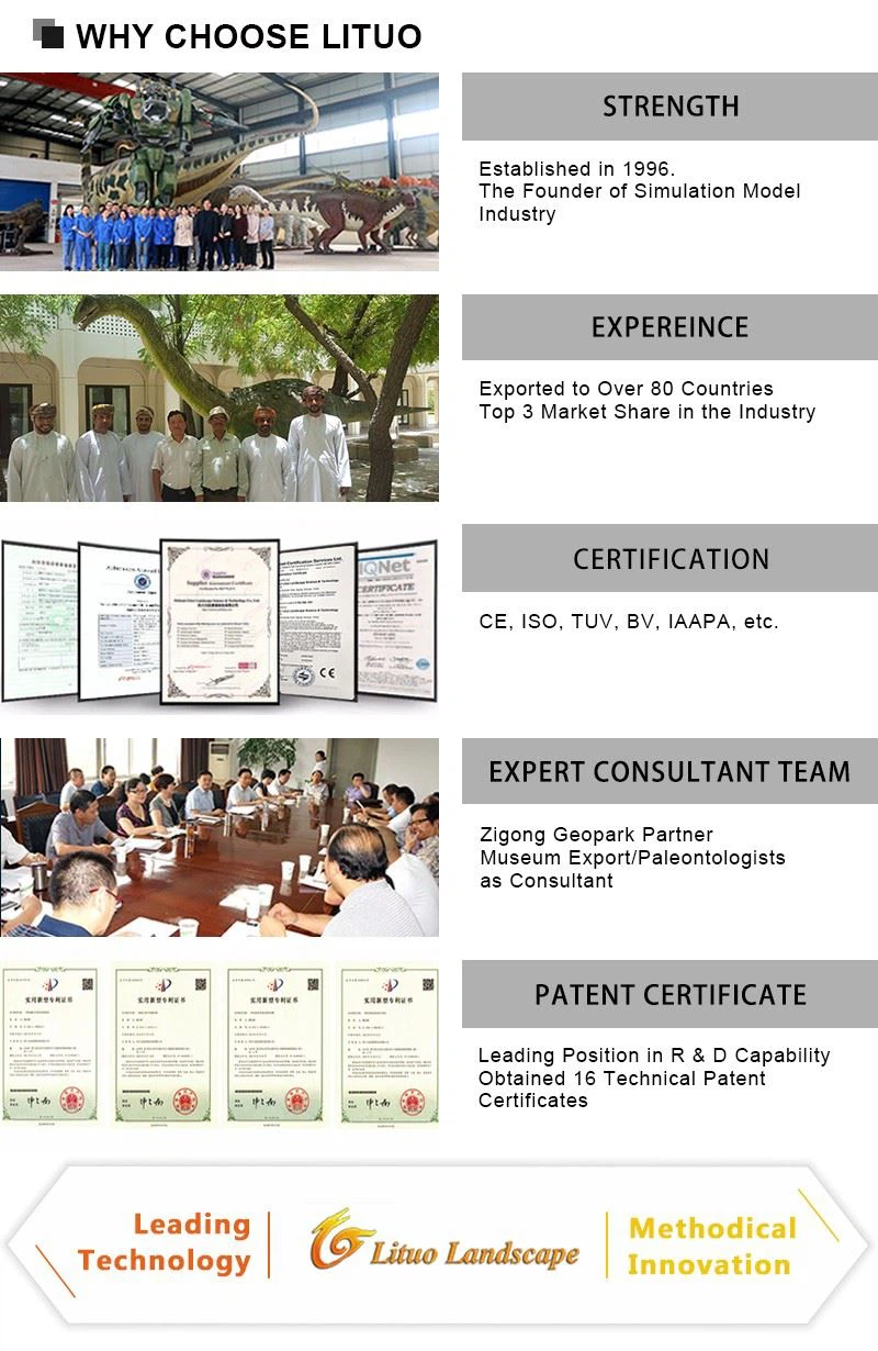 4WHY CHOOSE LITUO
