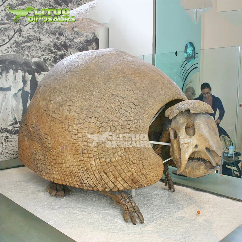 1Glyptodon Skeleton(001)