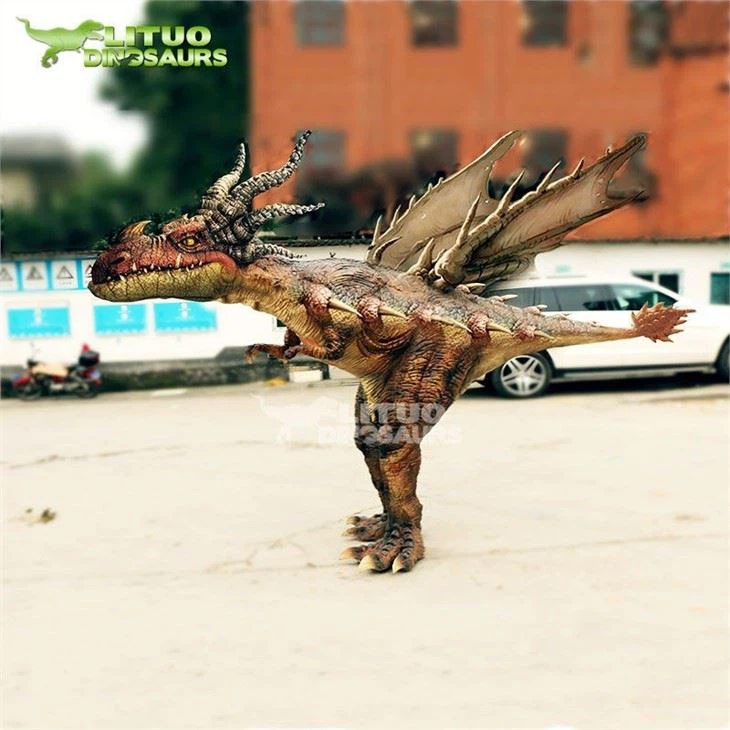 4costume dragon(001)