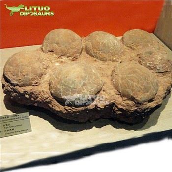 Resin Realistic Dinosaur Egg Fossil