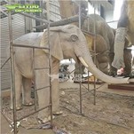 Custom Women Stainless Steel Plain Metal Gold Plated Elephant Pendant Necklace Jewelry