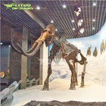 Ice Age Animal Realistic Life Size Mammoth Skeleton